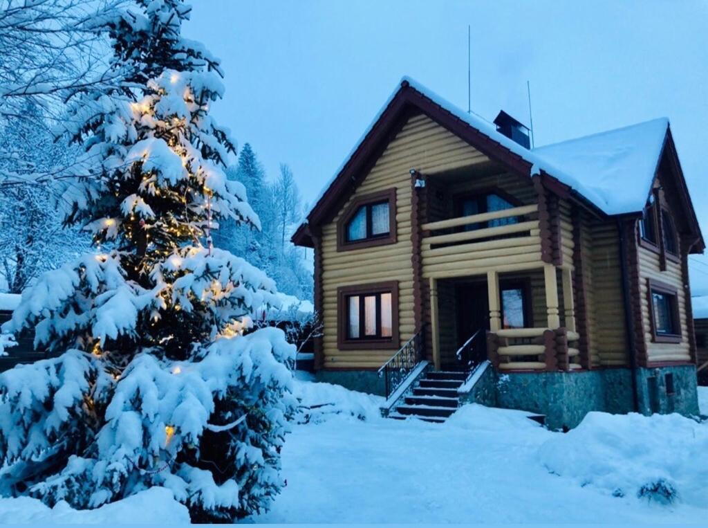 Шалe У Пилипці Chalet Pylypets Pilipets Exterior photo